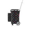 Kép Reisenthel Carrycruiser Plus Dots 46 L